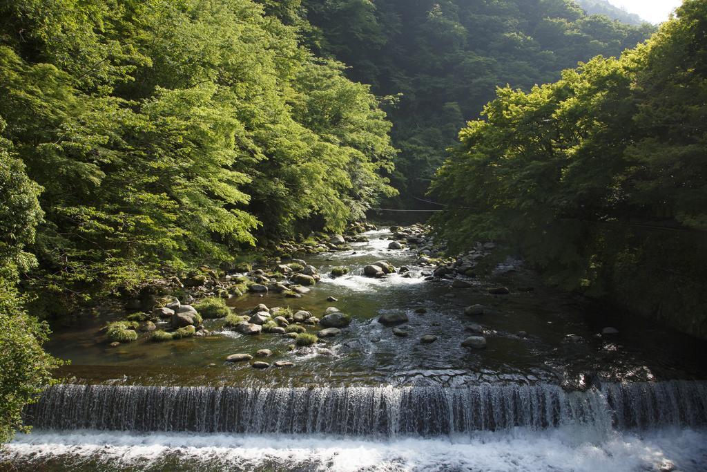 Fukuzumiro Hotel Hakone Ruang foto